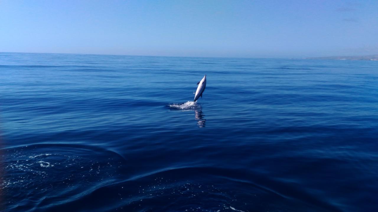 Scugnizza Smeralda Cannigione Luaran gambar
